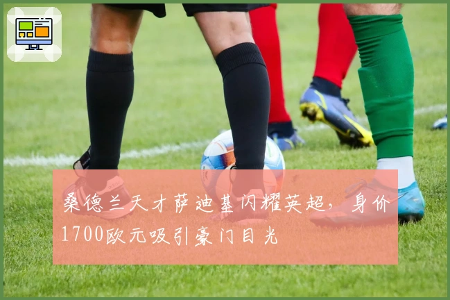 桑德兰天才萨迪基闪耀英超，身价1700欧元吸引豪门目光