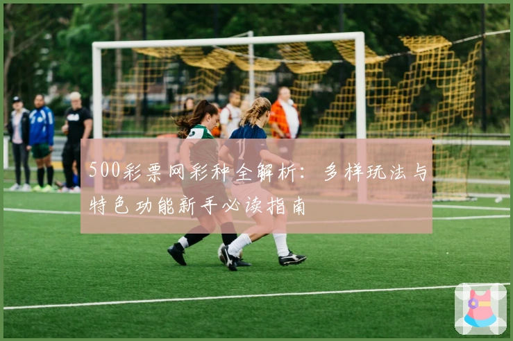 500彩票网彩种全解析：多样玩法与特色功能新手必读指南