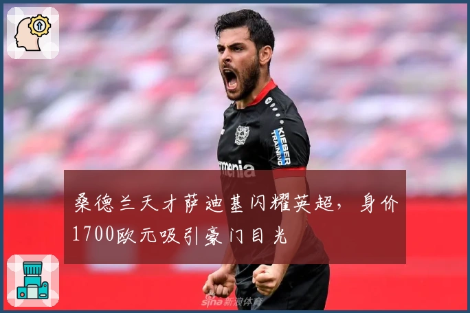 桑德兰天才萨迪基闪耀英超，身价1700欧元吸引豪门目光