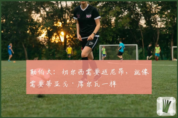 勒伯夫：切尔西需要迈尼昂，就像需要蒂亚戈·席尔瓦一样