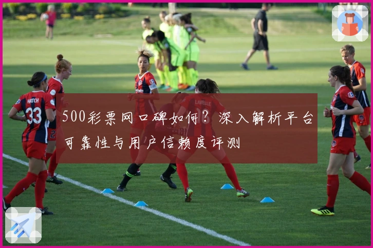 500彩票网口碑如何？深入解析平台可靠性与用户信赖度评测